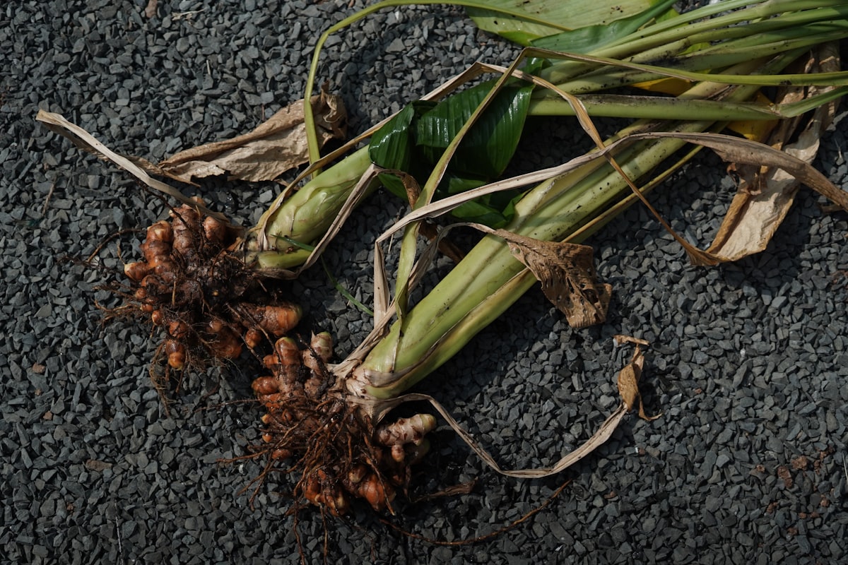 Nutrientes para equilibrio natural